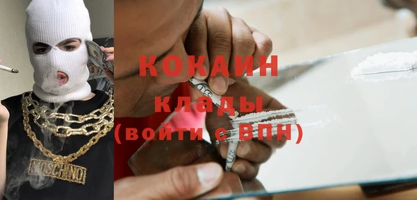 СК Новодвинск